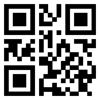 3913876529 QrCode associato