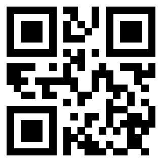 Il Qr Code di 3913876557