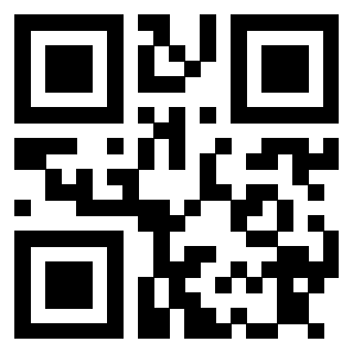 Il Qr Code di 3913876632