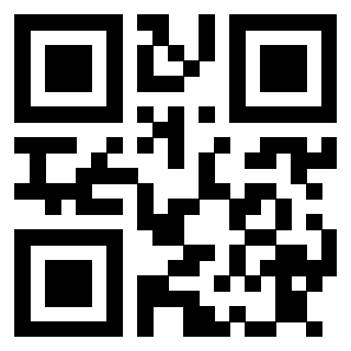 Il Qr Code di 3913876633