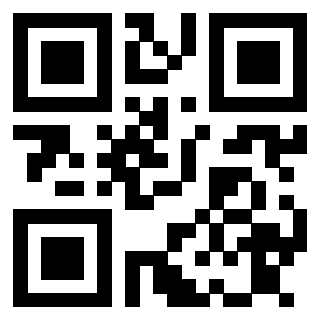 3913876691 QrCode associato