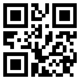 Il Qr Code di 3913876704