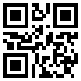 Il Qr Code di 3913876737