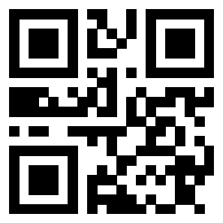 Il Qr Code di 3913876764