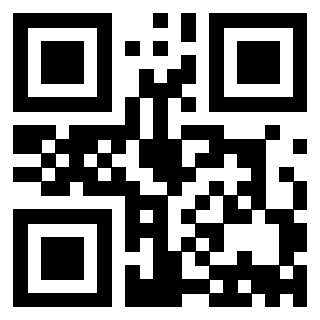 Il Qr Code di 3913876825