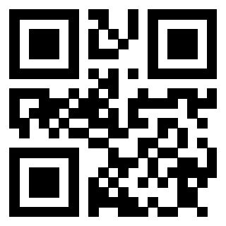 Il Qr Code di 3913876889