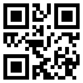 QrCode di 3913877027