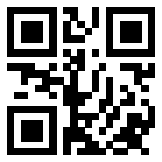 Il Qr Code di 3913953309