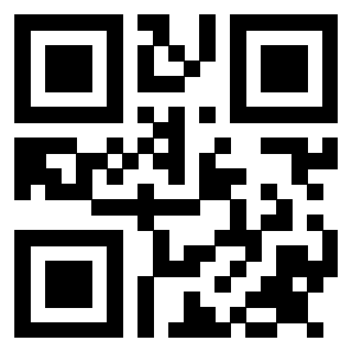 Il Qr Code di 3913953324