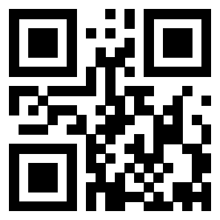 Il Qr Code di 3913953347