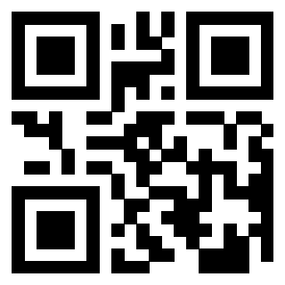 Il Qr Code di 3913953403