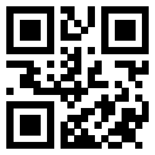Il Qr Code di 3913953405