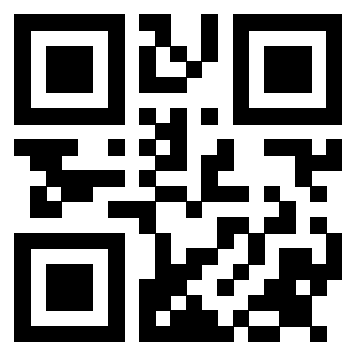 Il Qr Code di 3913953408
