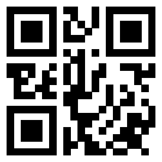 Il Qr Code di 3913953430