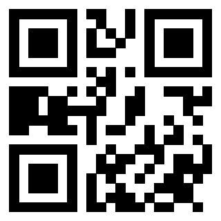 Il Qr Code di 3913953474