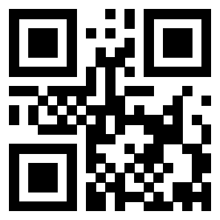 3913953489 QrCode associato