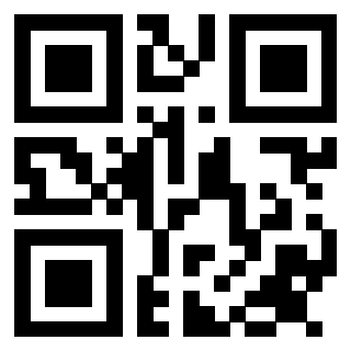 3913953496 QrCode associato