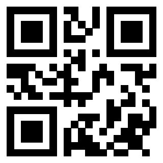 Il Qr Code di 3913953517