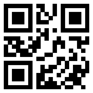 Il Qr Code di 3913953518