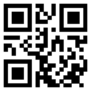 Il Qr Code di 3913953556