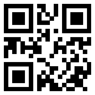 Il Qr Code di 3913953602