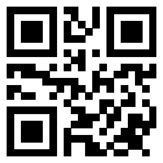 Il Qr Code di 3913953609