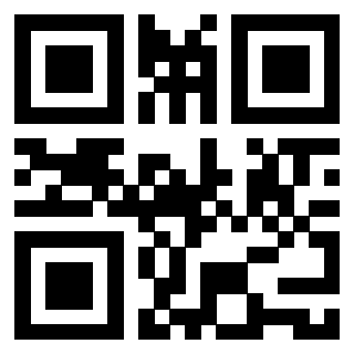 Il Qr Code di 3913953818