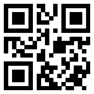 Il Qr Code di 3913953846