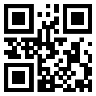 Il Qr Code di 3913953925