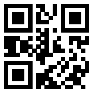 Il Qr Code di 3913953971