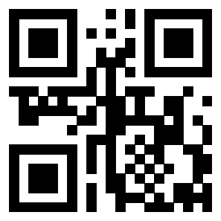 Il Qr Code di 3913953980