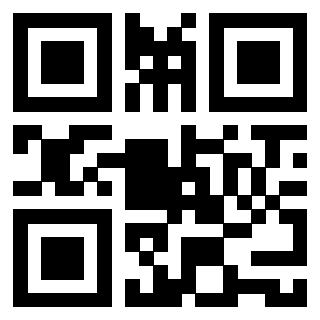 Il Qr Code di 3913955036