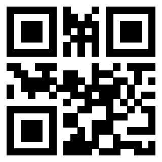 Il Qr Code di 3913955065