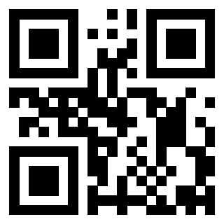Il Qr Code di 3913955294