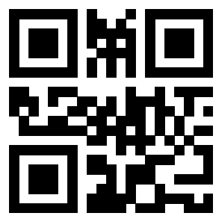 Il Qr Code di 3913955343