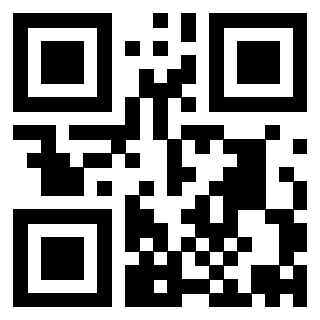 Il Qr Code di 3913955647