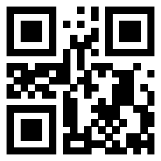 Il Qr Code di 3913955653