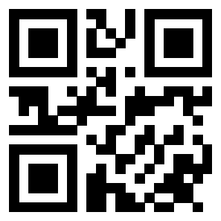 3913955838 QrCode associato