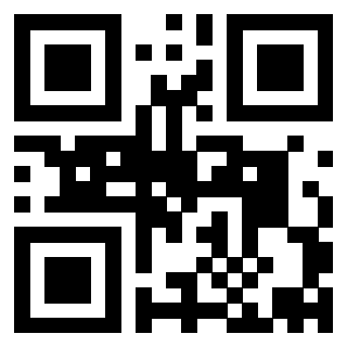 Il Qr Code di 3913955856