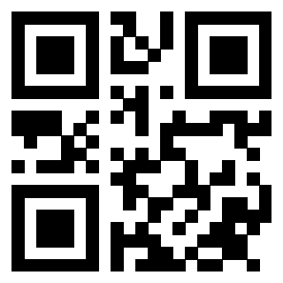 Il Qr Code di 3913955894
