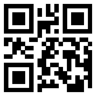 Il Qr Code di 3913955950