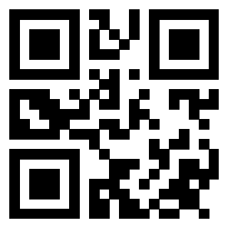Il Qr Code di 3913955996