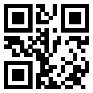 Il Qr Code di 3913979153