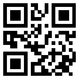 Il Qr Code di 3913979195