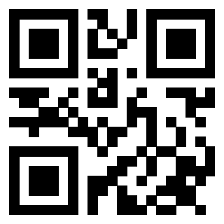 3913979381 QrCode associato