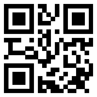 Il Qr Code di 3913979786