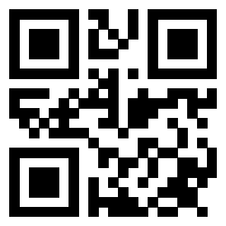 Il Qr Code di 3913979809
