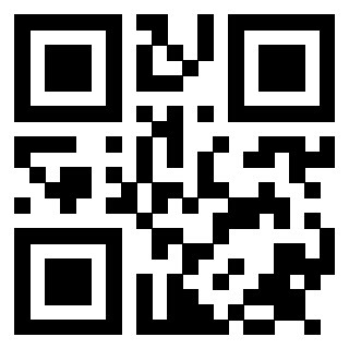 Il Qr Code di 3913993638