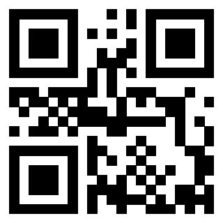 Il Qr Code di 3913993670