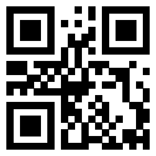 Il Qr Code di 3913993691